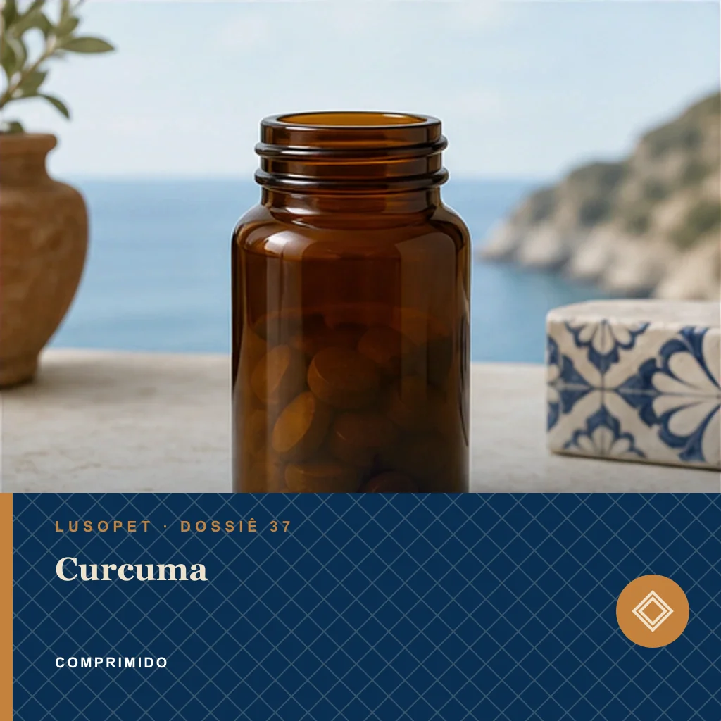 Curcuma em comprimido, conceito de suplemento para marca própria Lusopet
